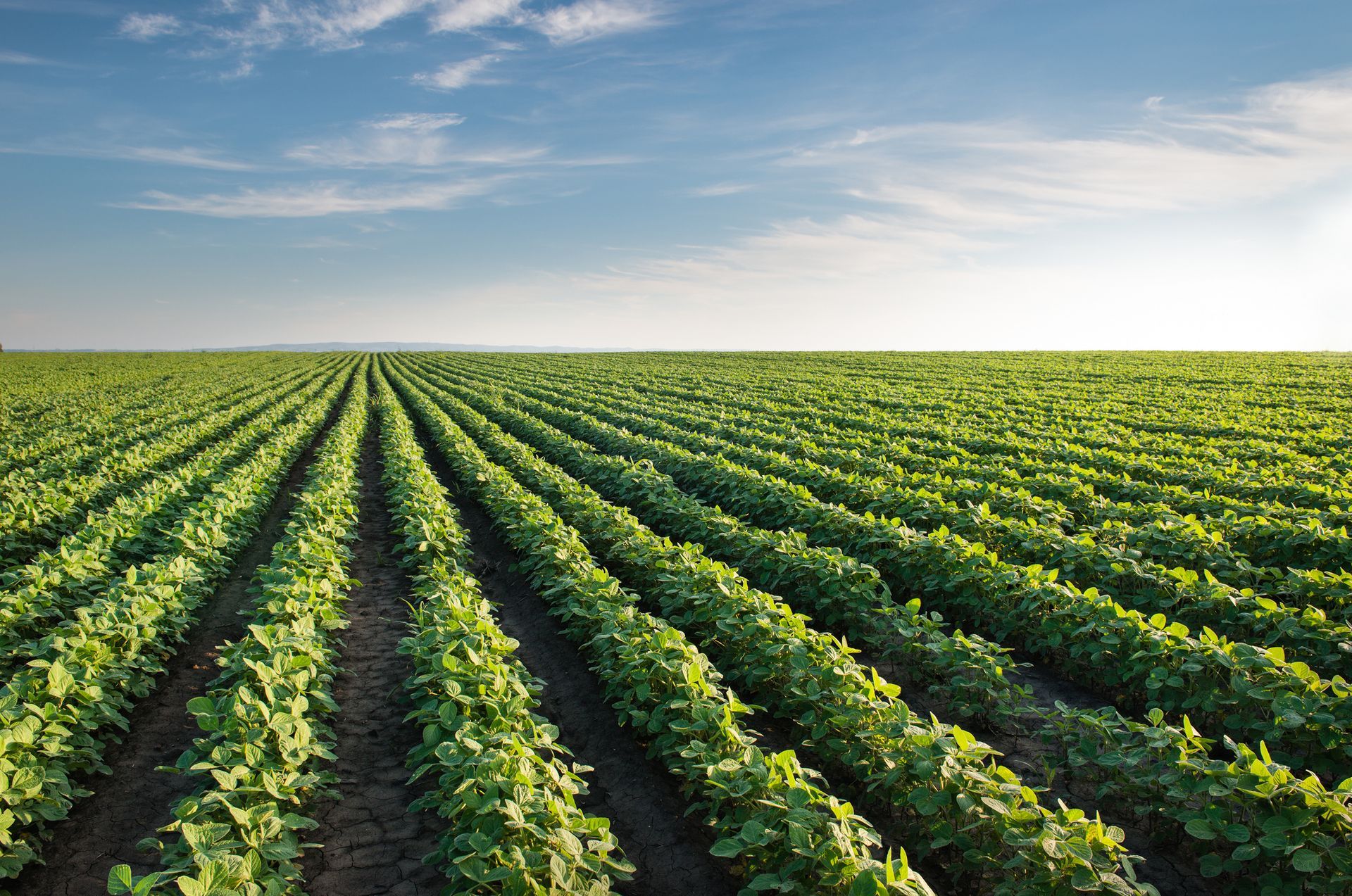 Farm Field — O’Fallon, MO — BLCS Landscape and Irrigation