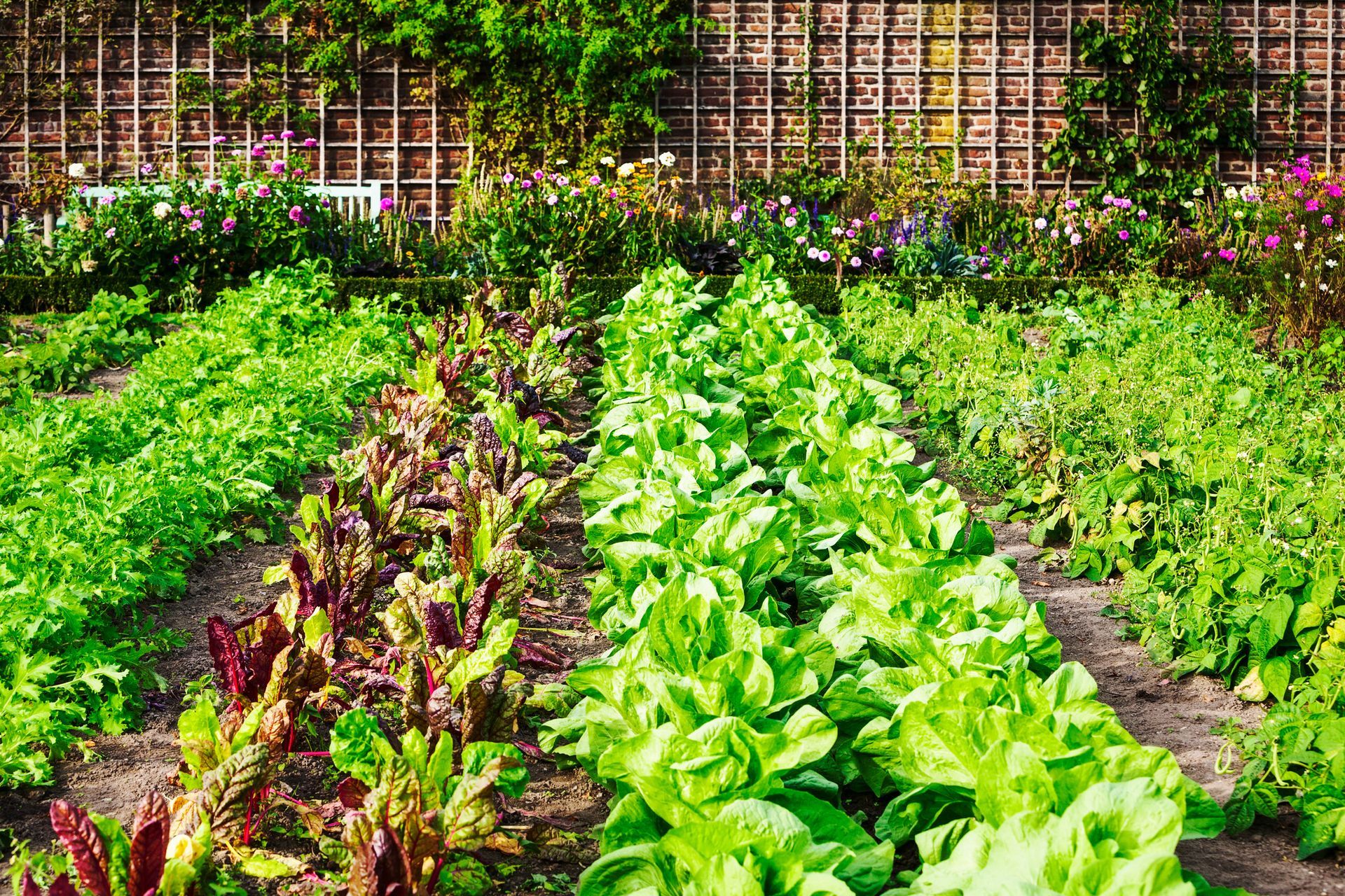 Food Plot — O’Fallon, MO — BLCS Landscape and Irrigation