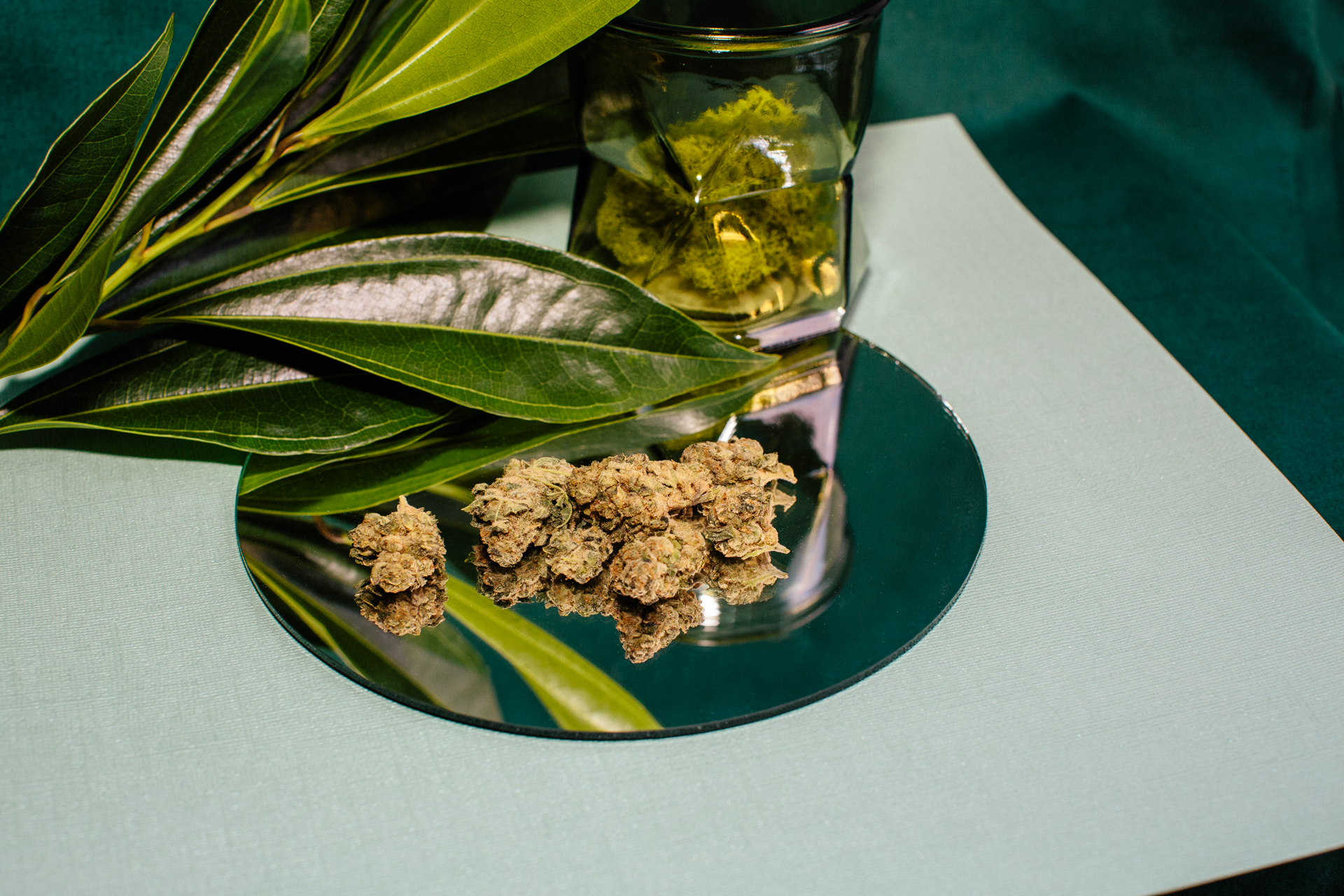 A plant is reflected in a mirror next to a glass of liquid.