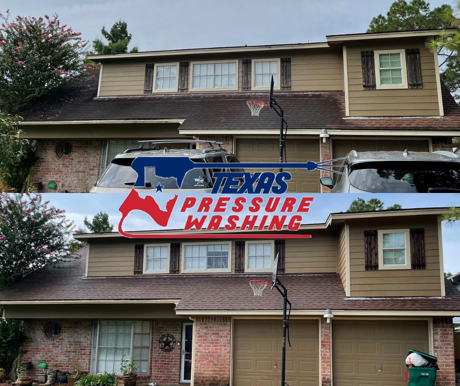 Shingle roof cleaning service
