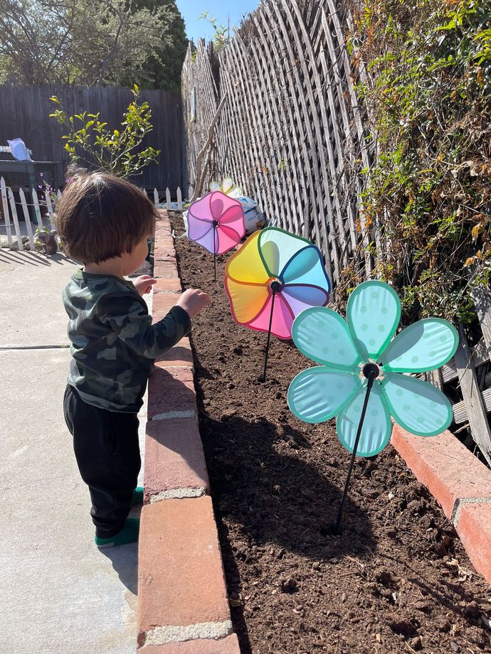 Child in camo jacket points at colorful pinwheels in a garden bed next to a fence.