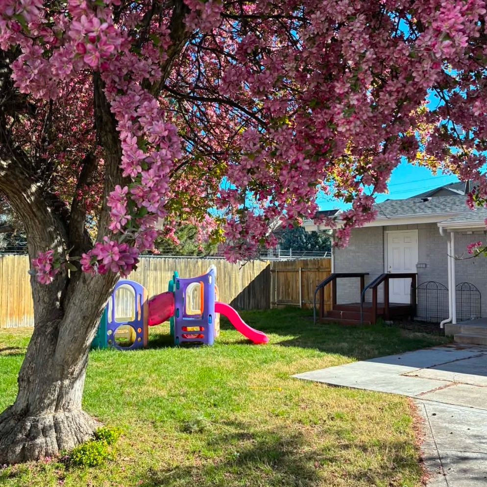 Nampa Campus backyard with a pink flowering tree, children's playset, and a small house beside a paved path