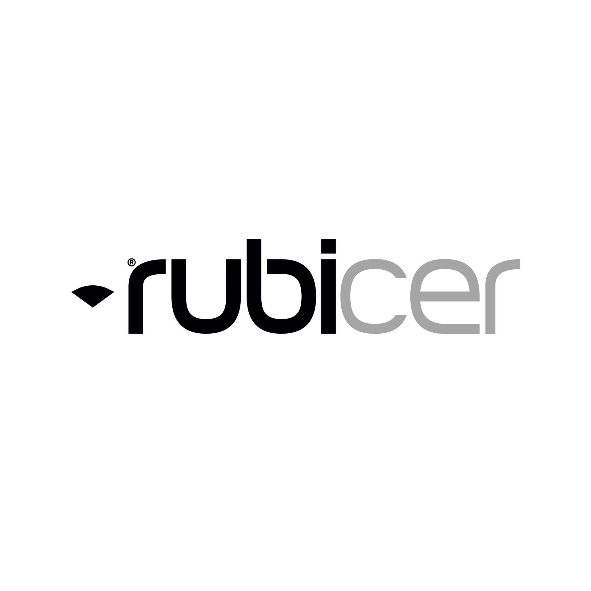 Logo Rubicer in nero e grigio su sfondo bianco.