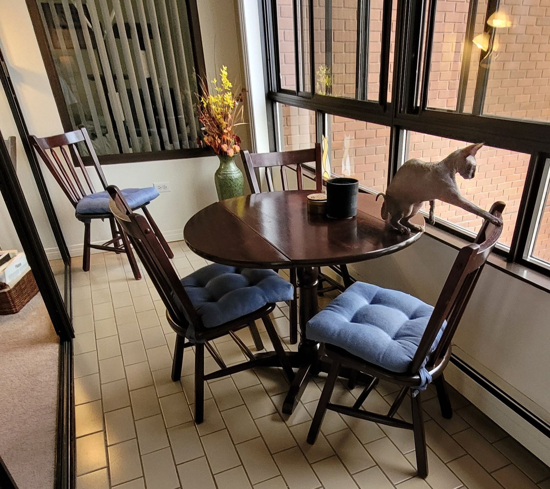 A cat sits on a chair in front of a table and chairs