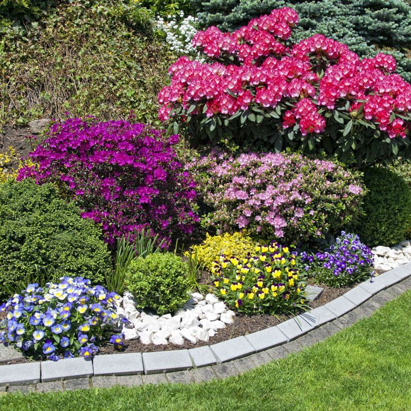 Colorful flower garden border with pink, purple, yellow, and white blooms along a curved walkway