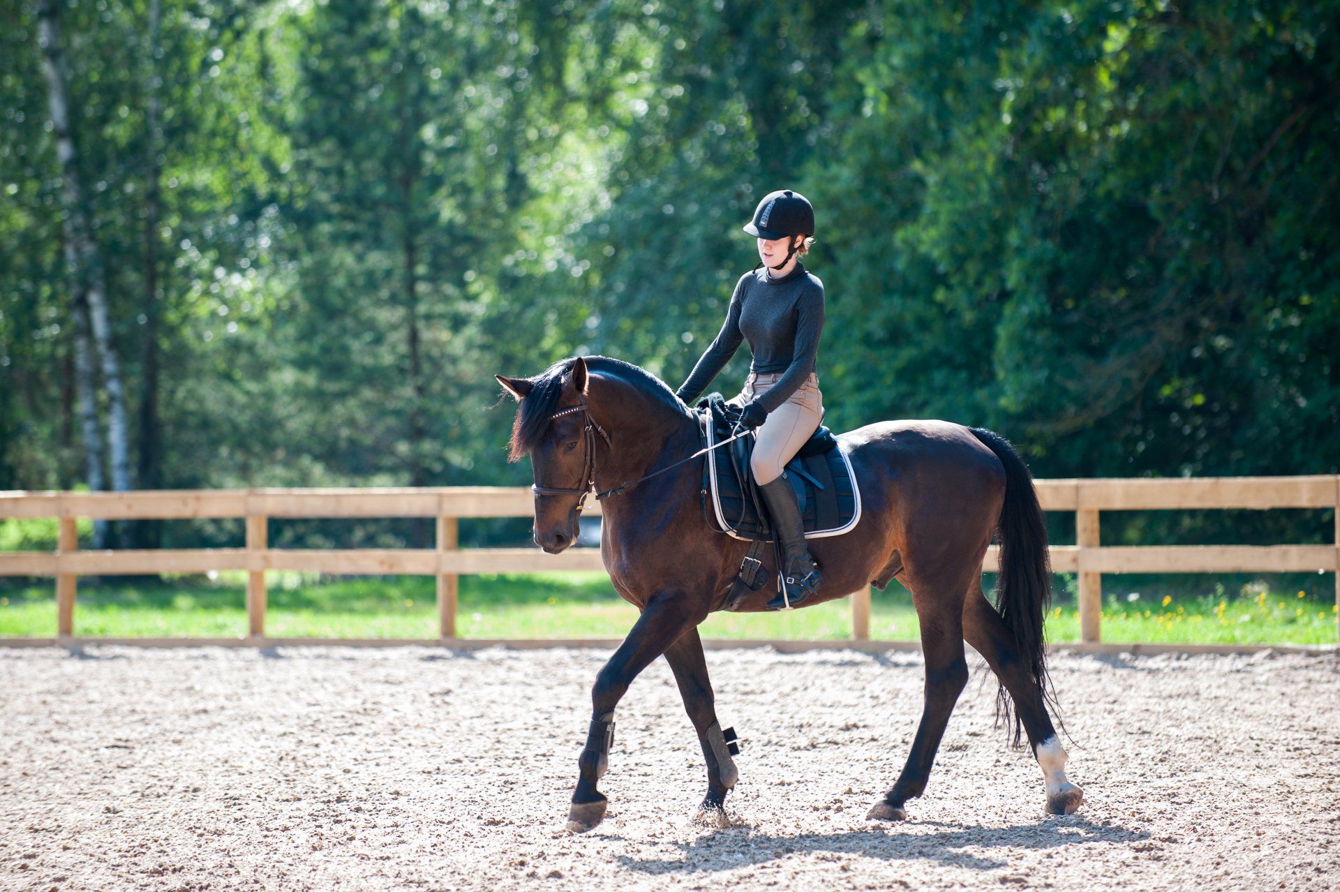 horse riding image