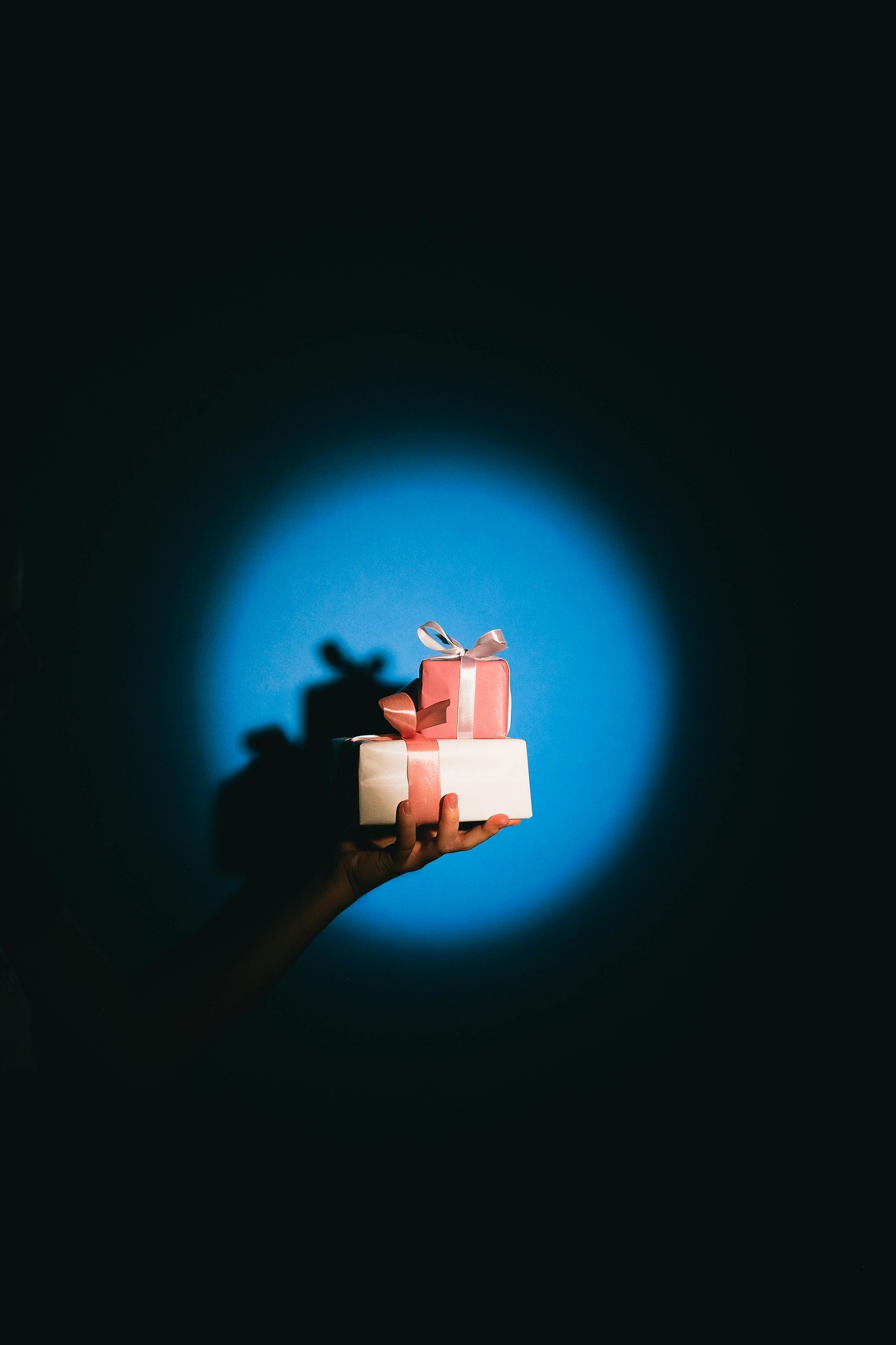 Spotlight Charities