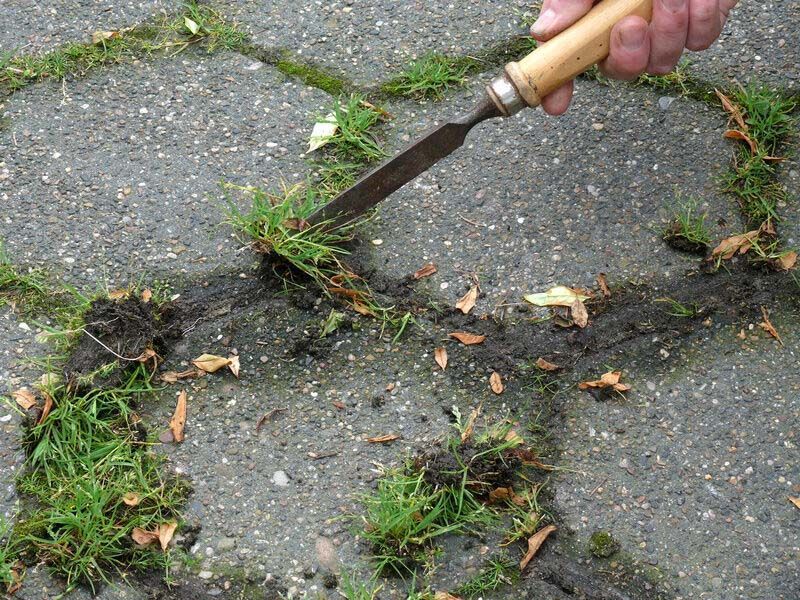 cleaning grasses