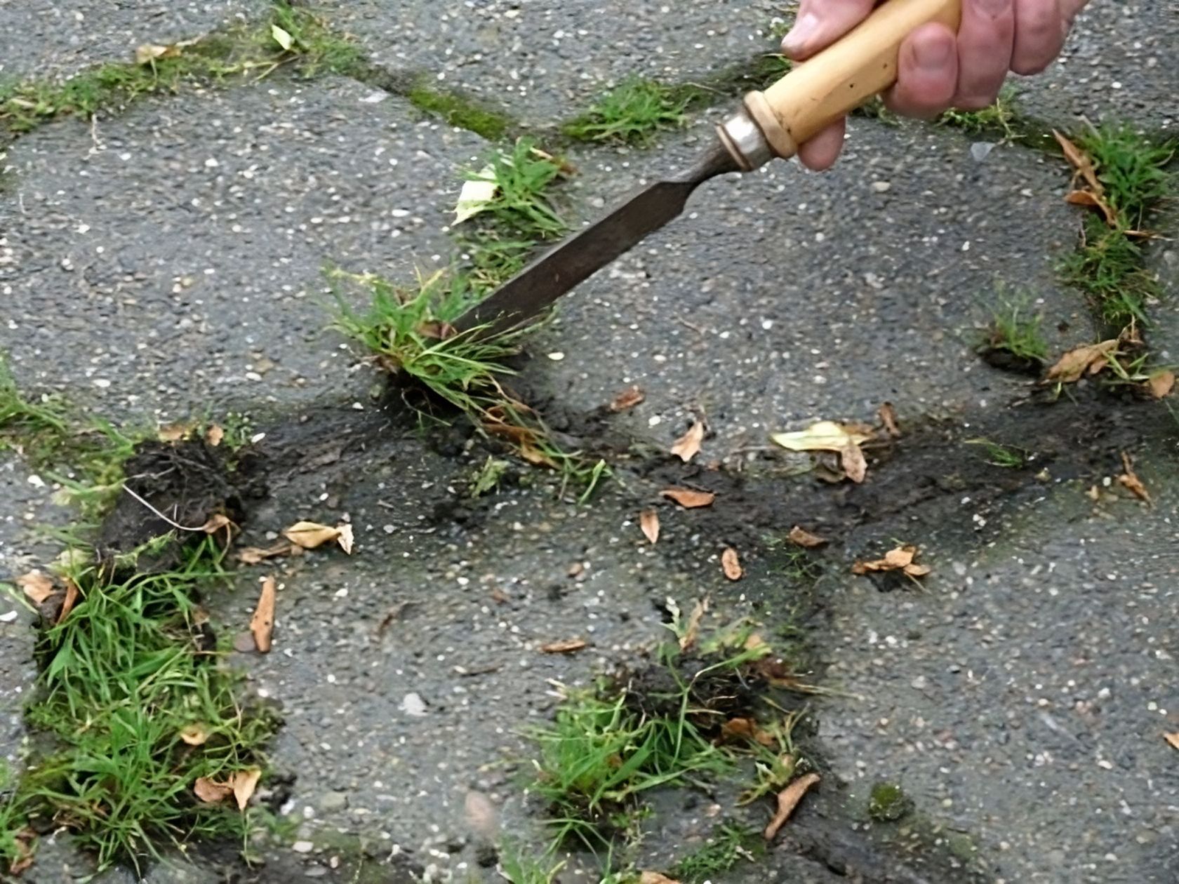 cleaning grasses