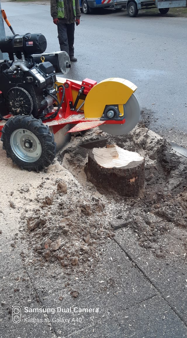 Medžių ir krūmų pjovimas, genėjimas