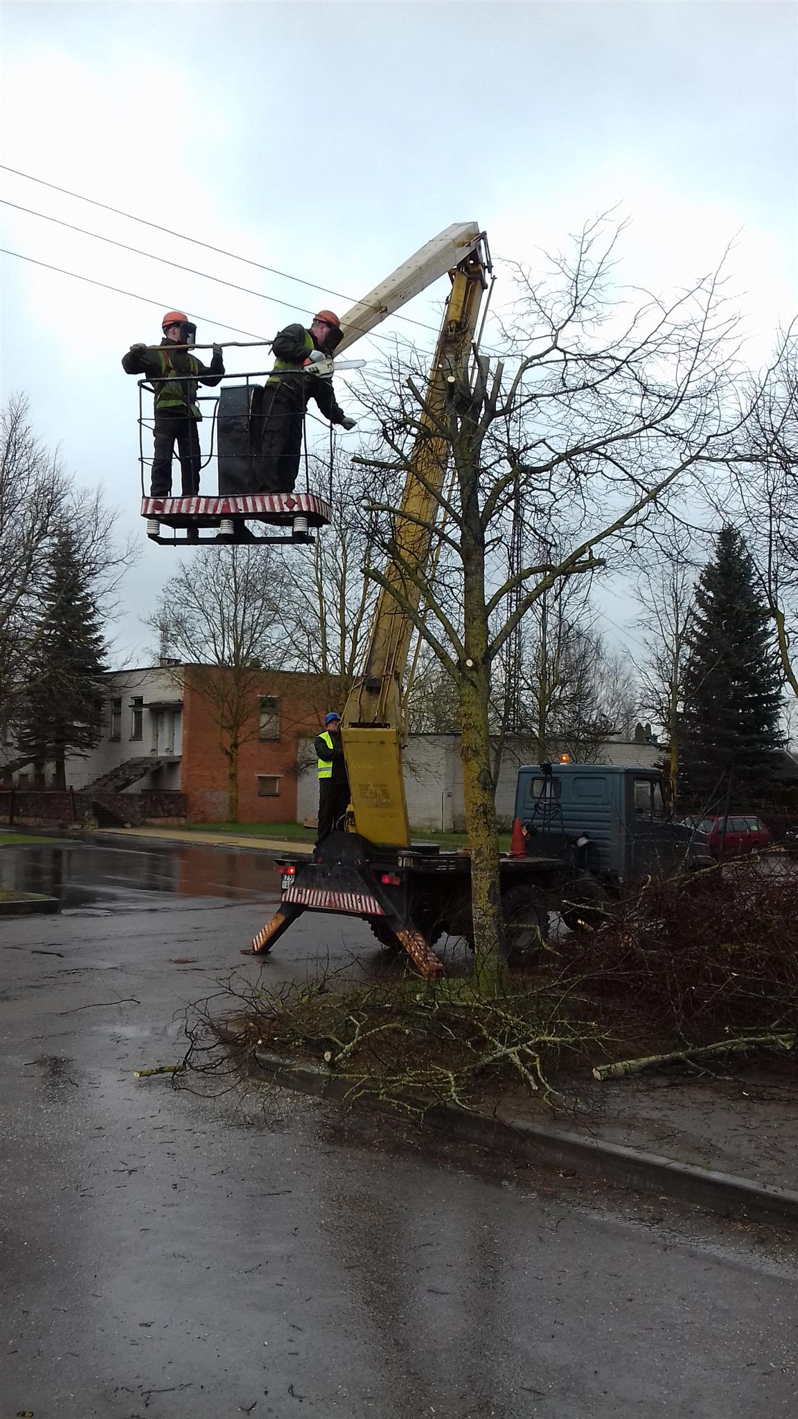 Medžių ir krūmų pjovimas, genėjimas