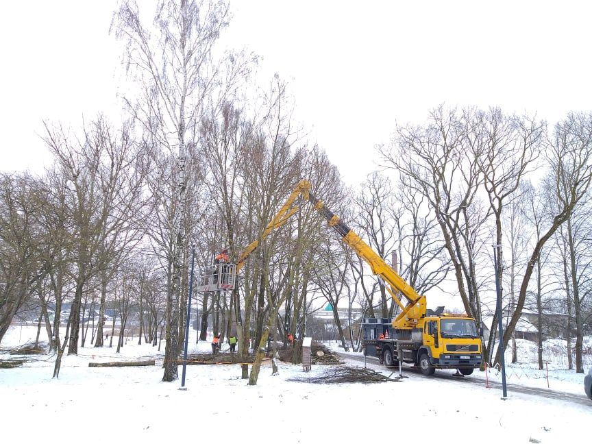 Medžių ir krūmų pjovimas, genėjimas