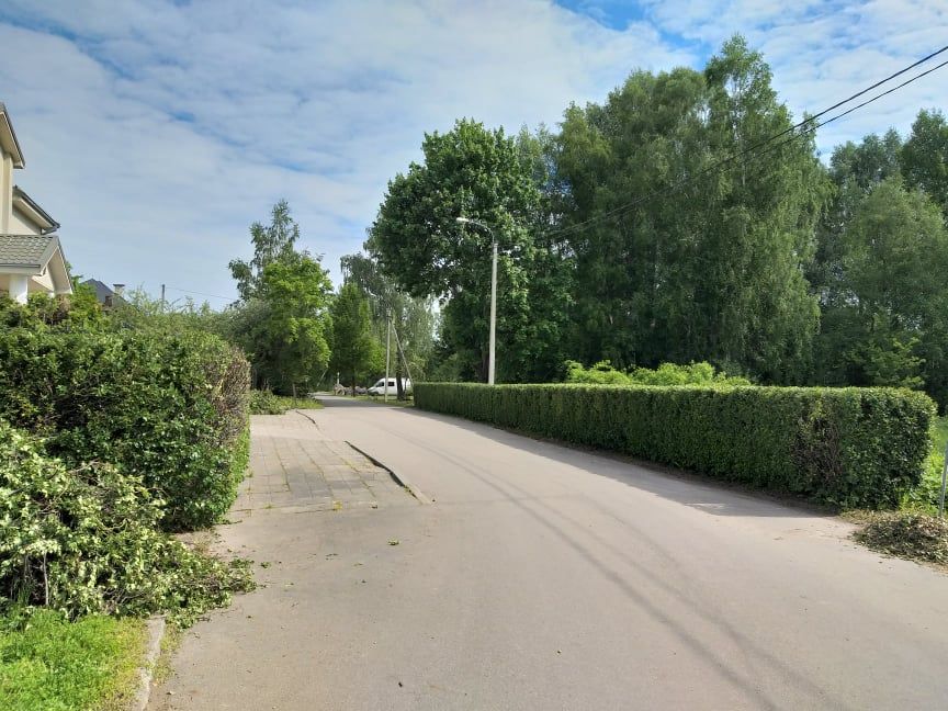 Medžių ir krūmų pjovimas, genėjimas