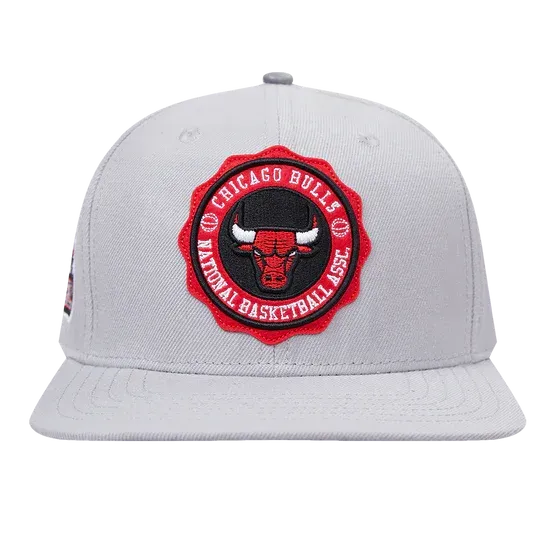 Pro Standard-NBA Chicago Bulls Crest Emblem Snapback