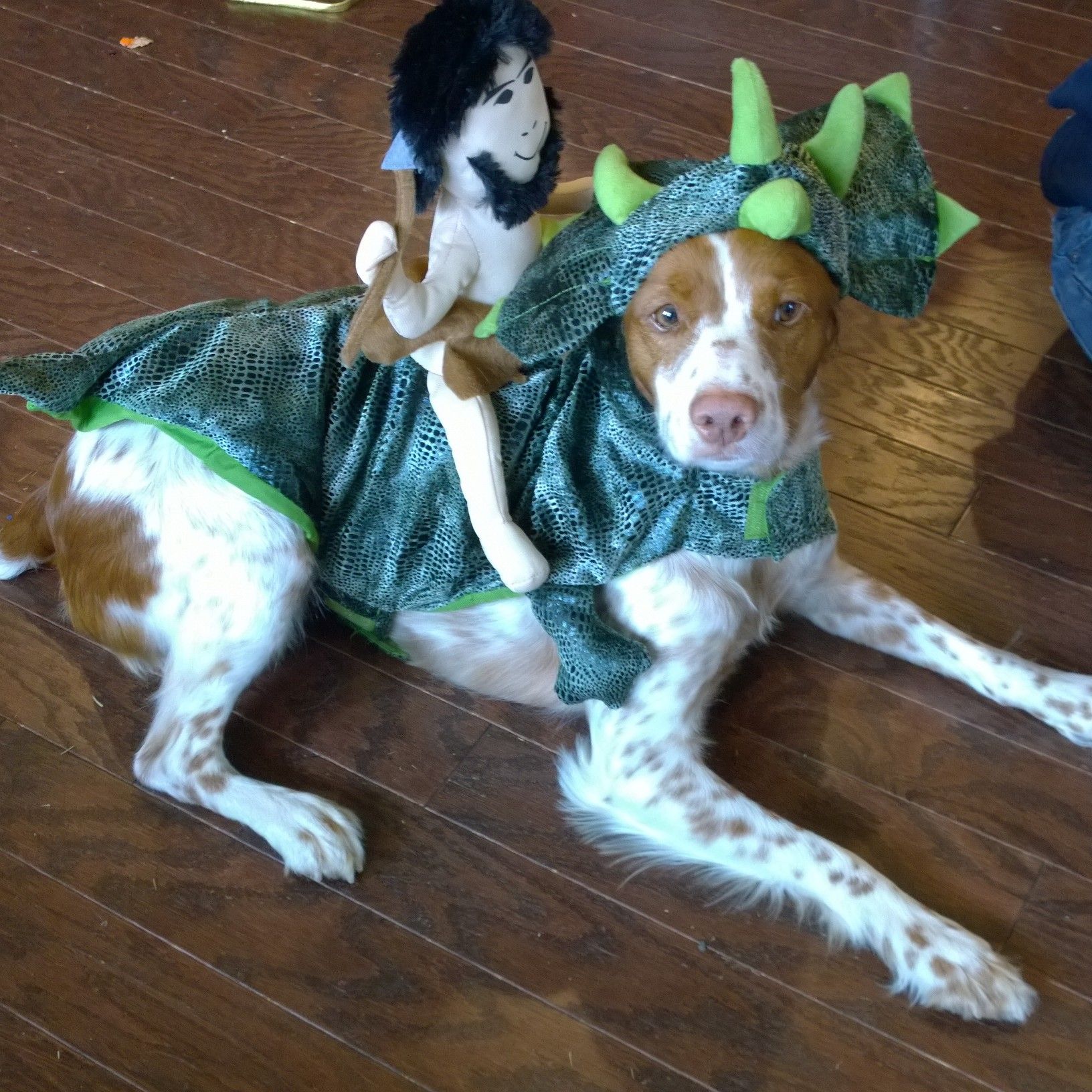 A dog dressed as a dinosaur with a stuffed animal on its back
