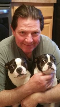 A man is holding two boston terriers in his arms.