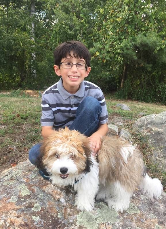 A young boy is kneeling down next to a small brown and white dog.
