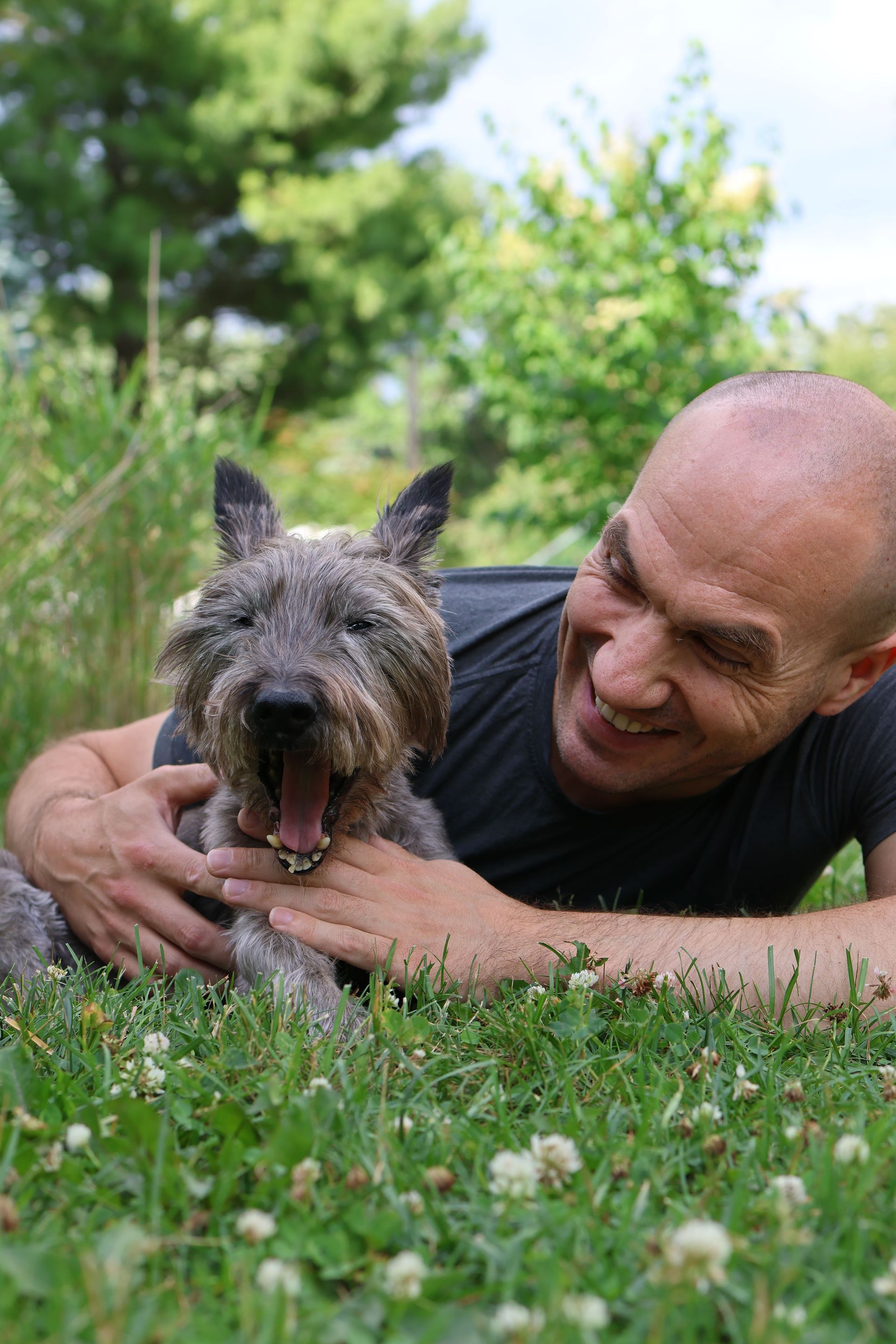 dog trainer pawling, pet sitting pawling, private dog training pawling, bonded and insured dog train