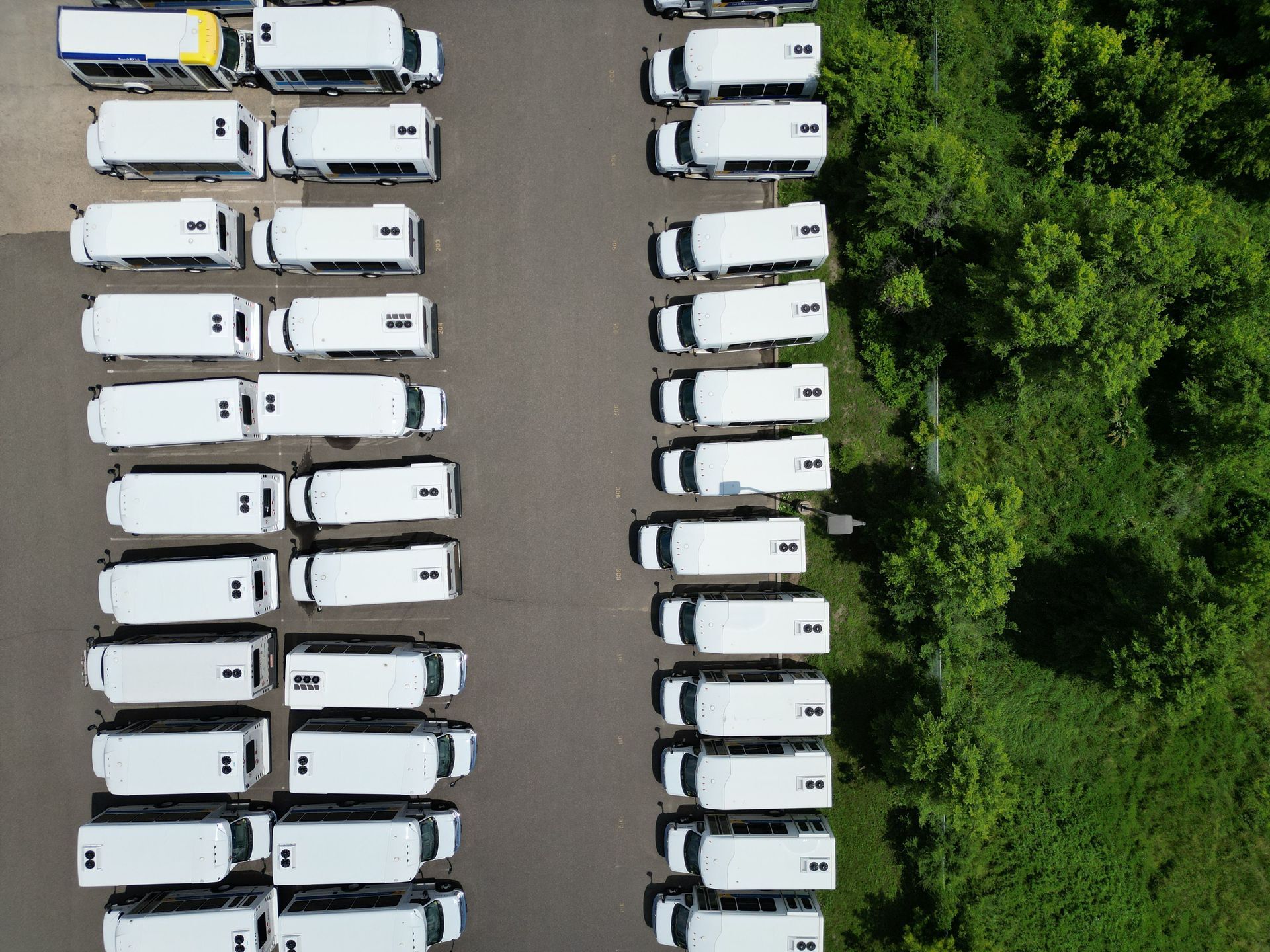 Aerial view of rows of white vans parked beside a green wooded area.