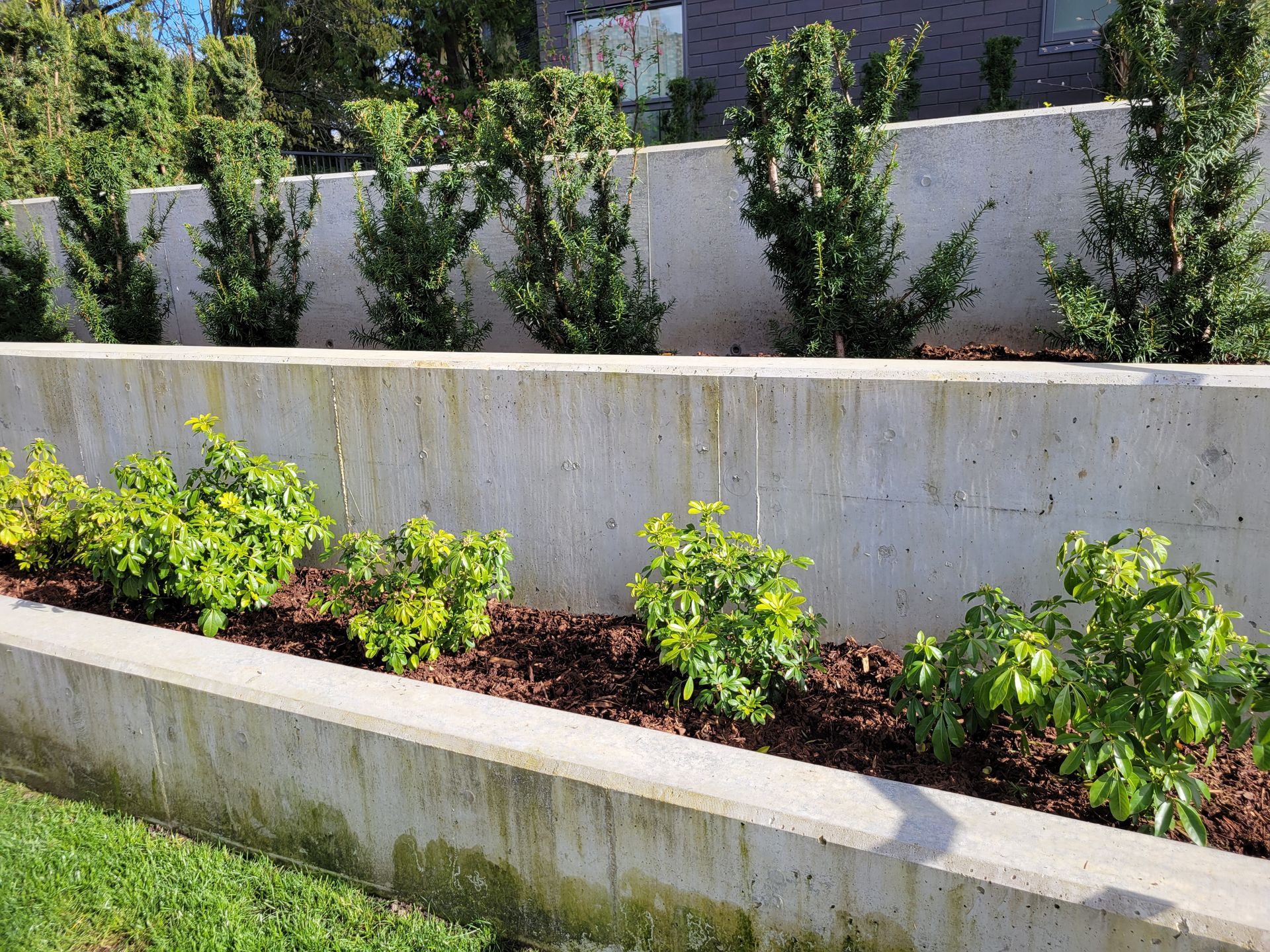 Mississauga Retaining Walls -poured concrete Retaining Wall