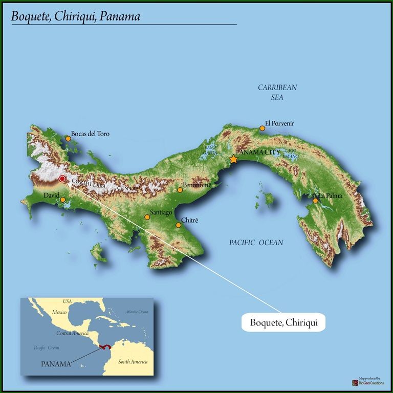 Panama Boquete
