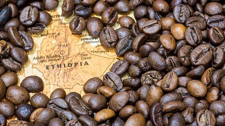 Organic Ethiopian Yirgacheffe
