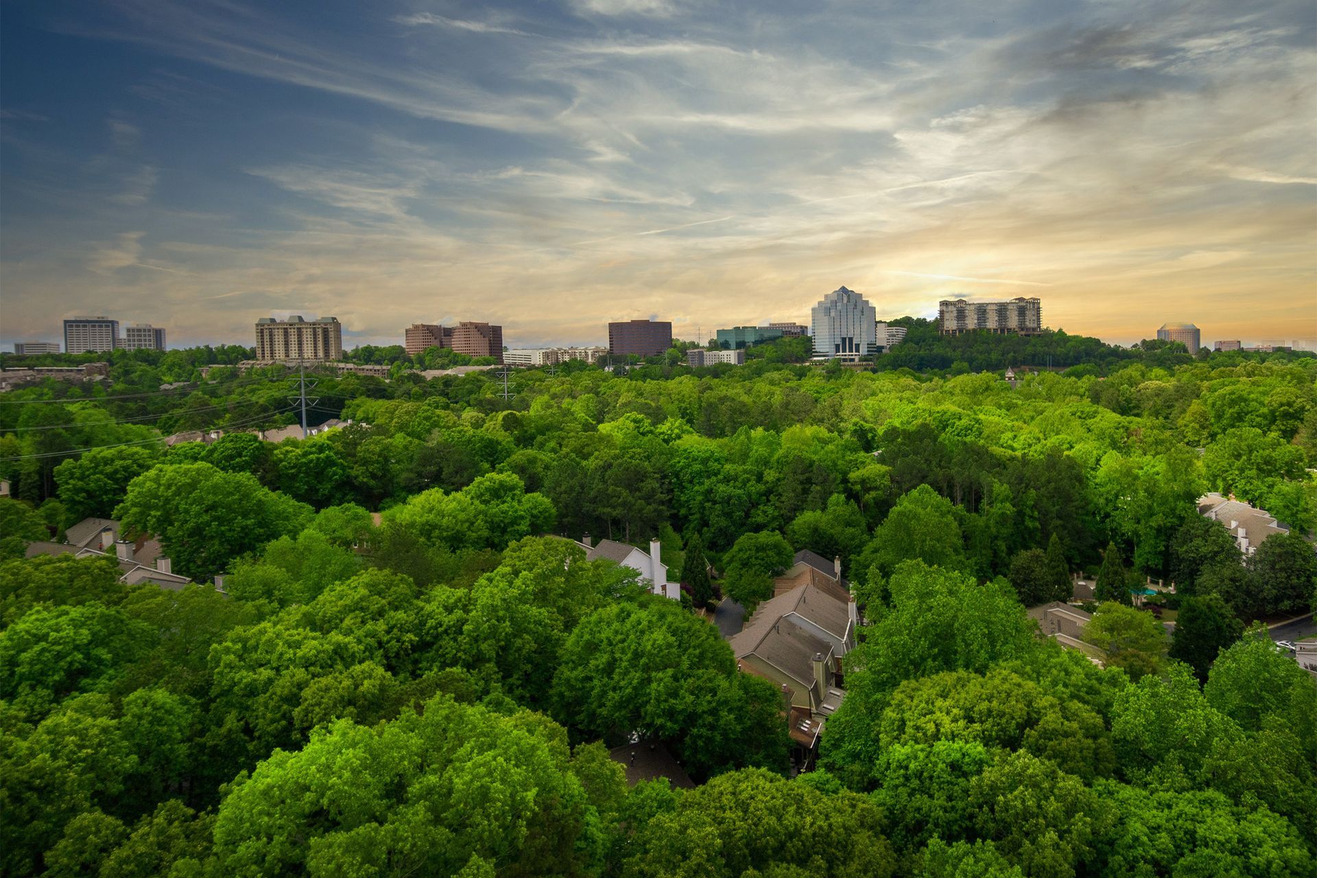 Lush green trees with a city skyline in the background under a cloudy sky.