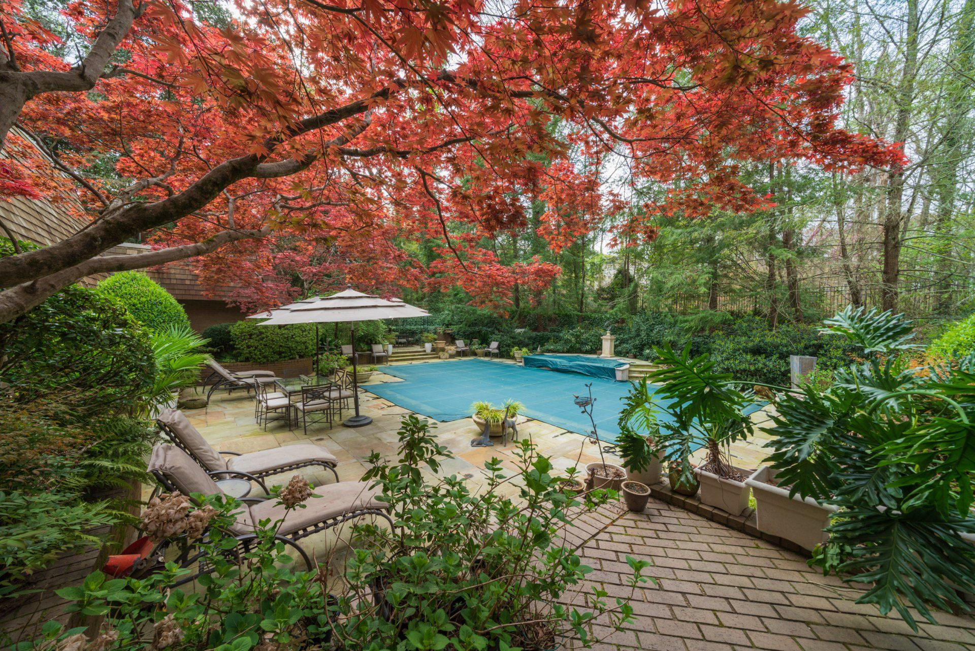 There is a large swimming pool in the backyard surrounded by trees.