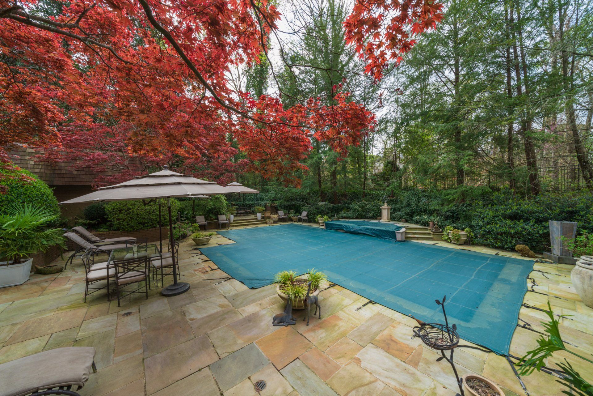 There is a large swimming pool in the backyard with umbrellas and chairs.