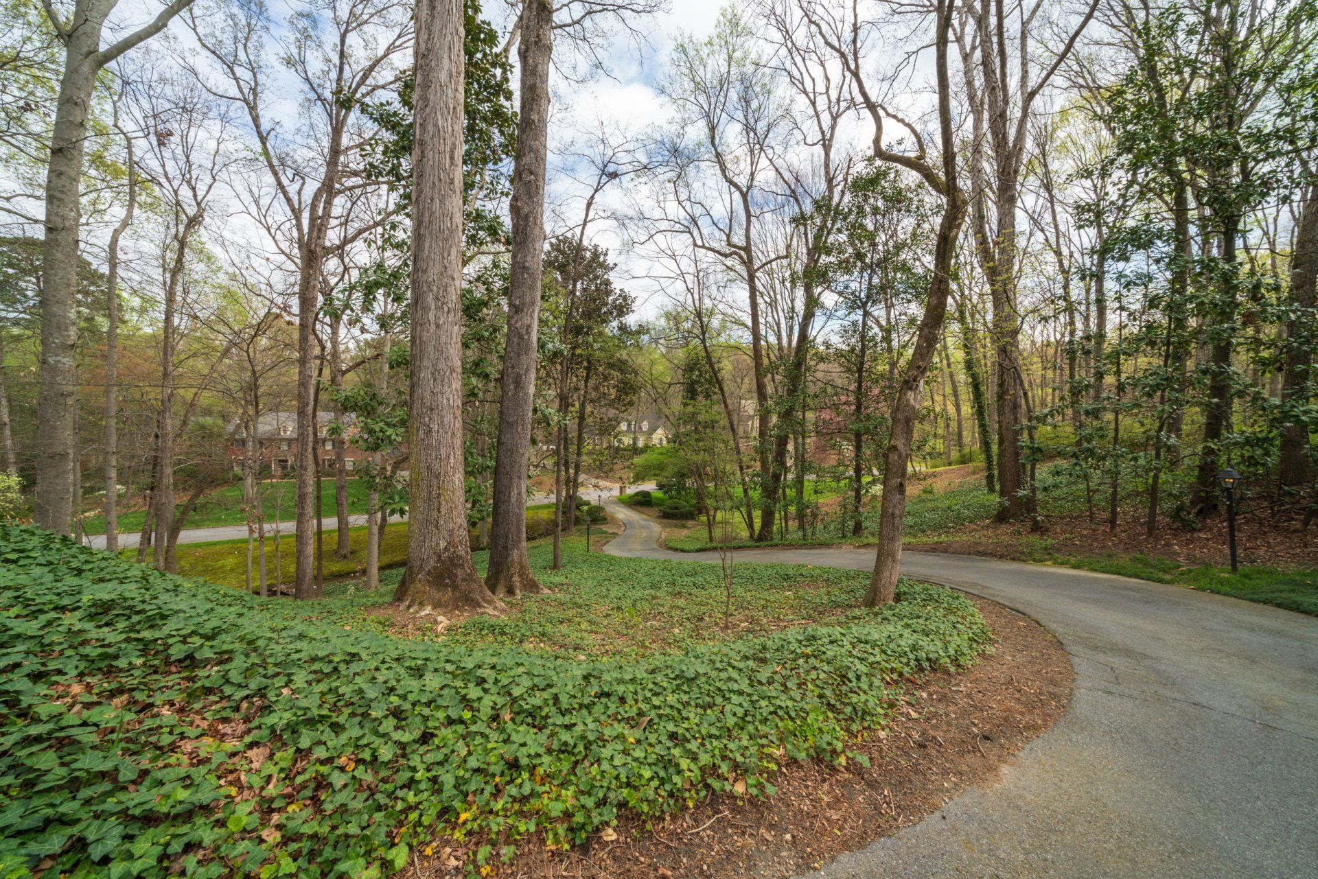 A curvy road in the middle of a forest surrounded by trees.
