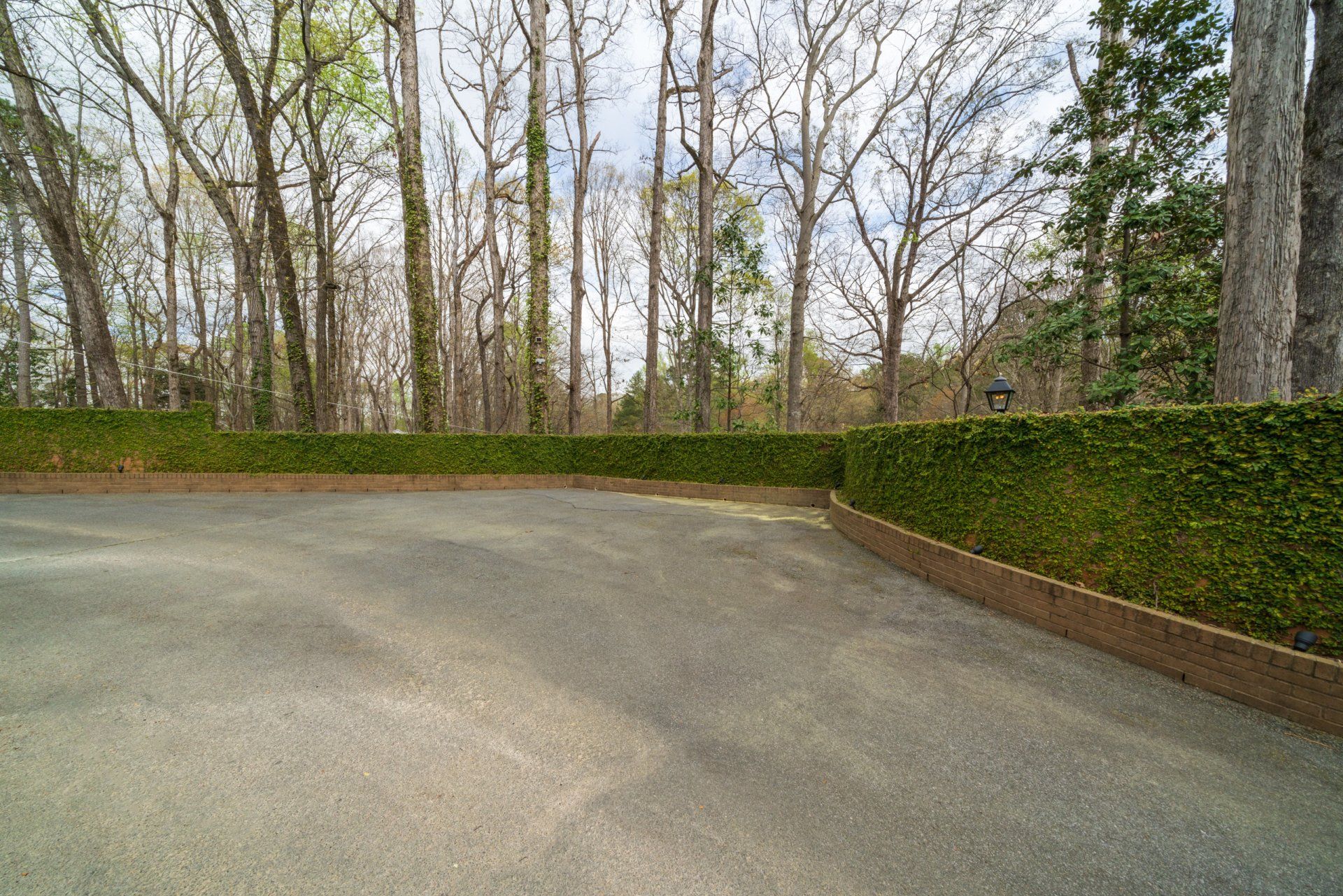 An empty driveway surrounded by trees and a hedge.