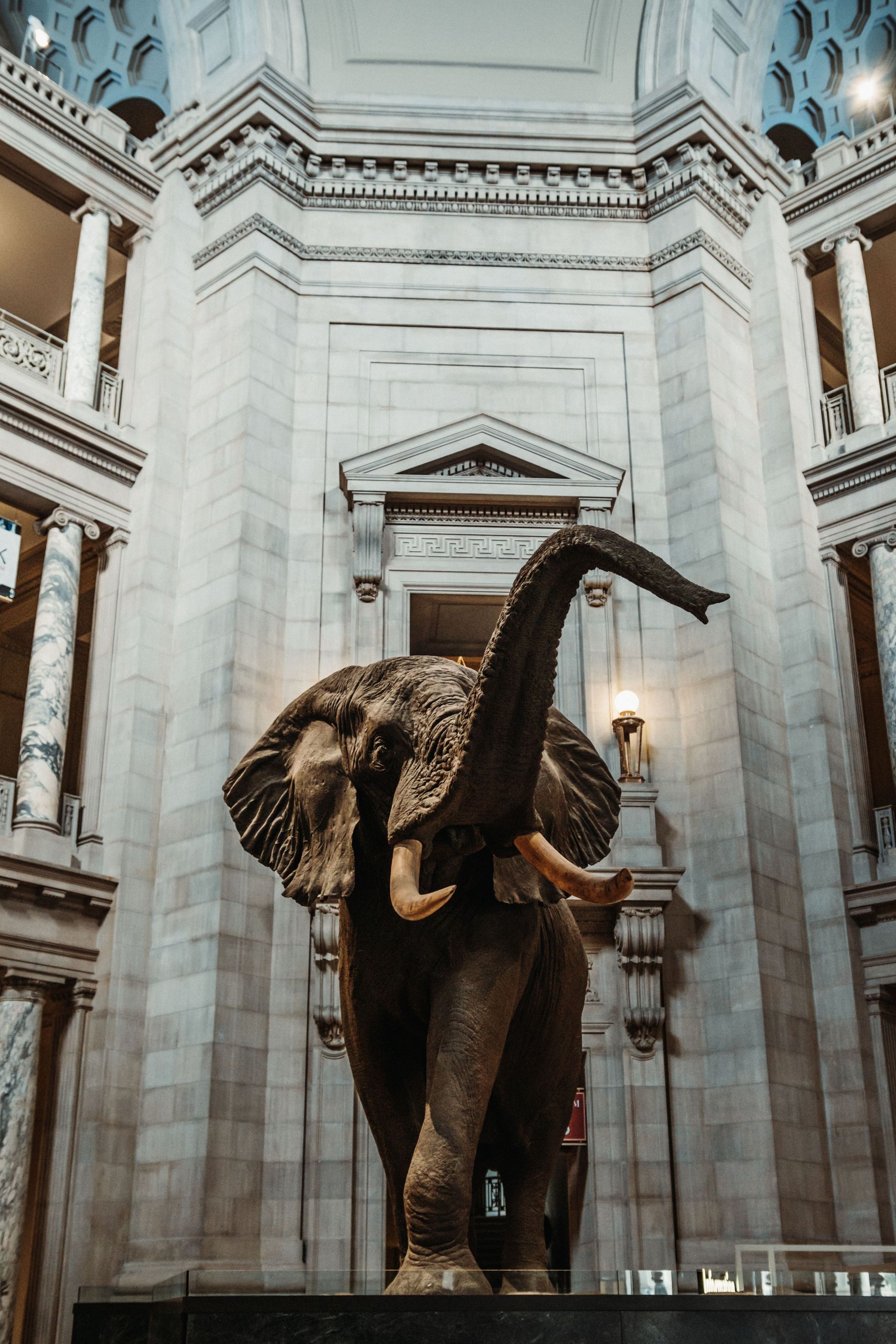 Smithsonian Museums