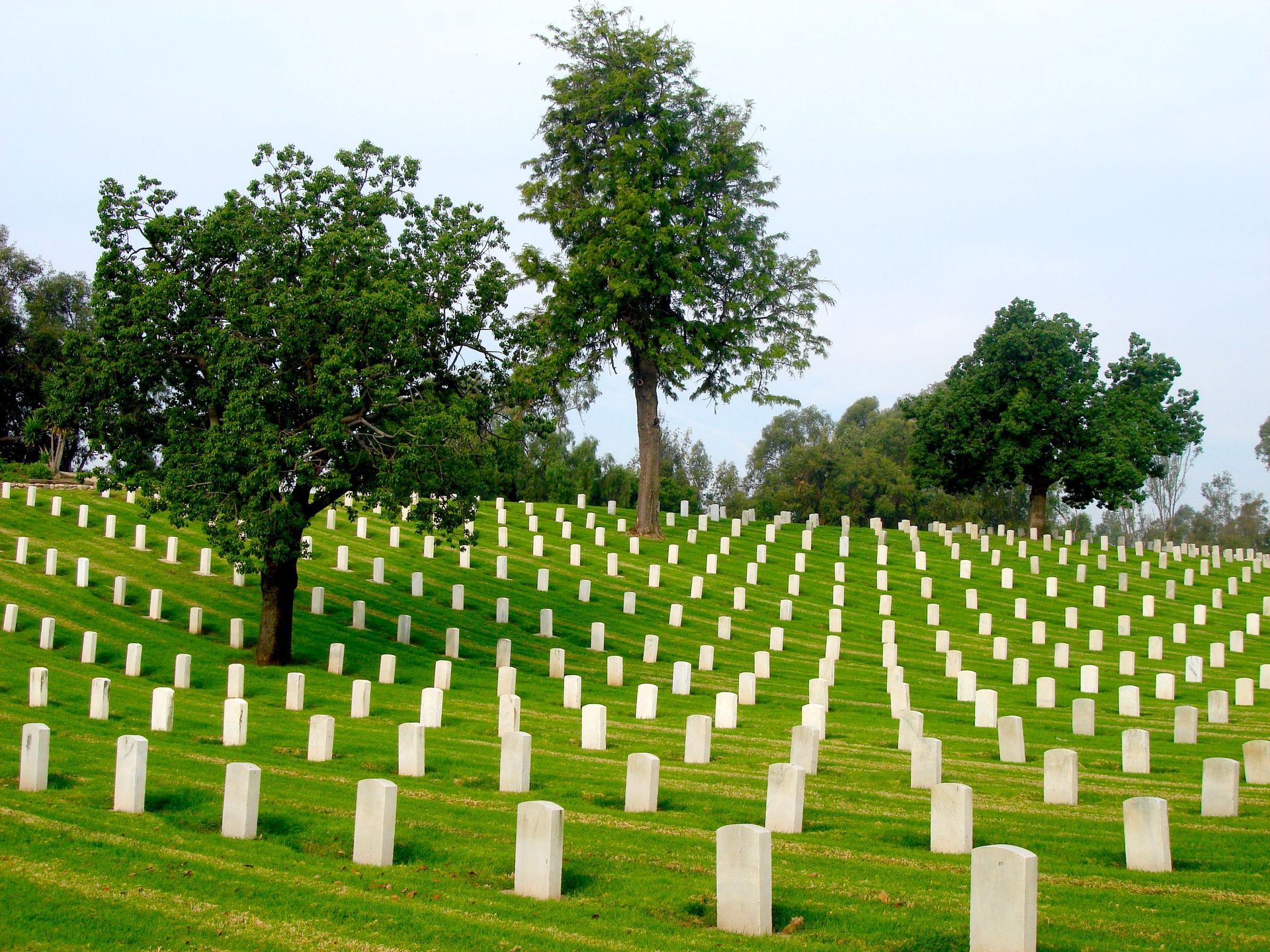 Arlington Cemetery