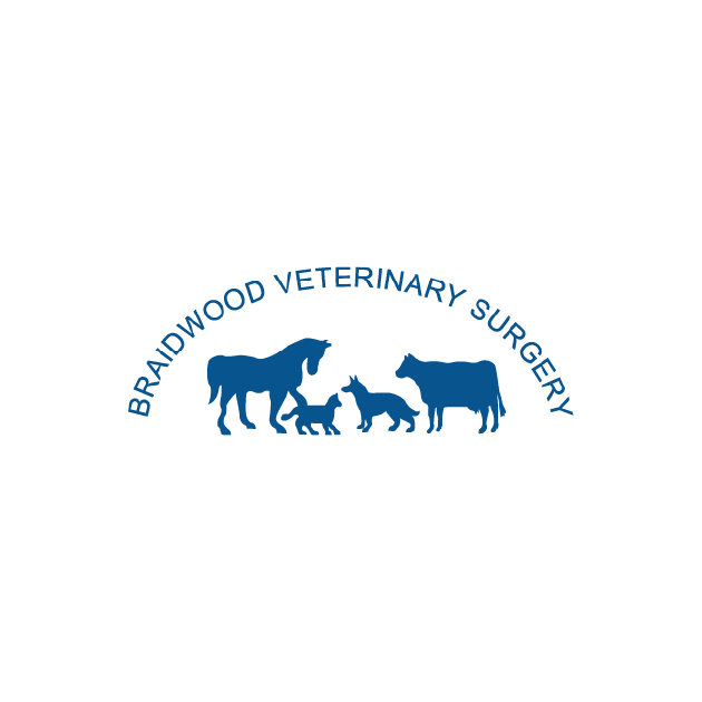 Braidwood Veterinary Surgery