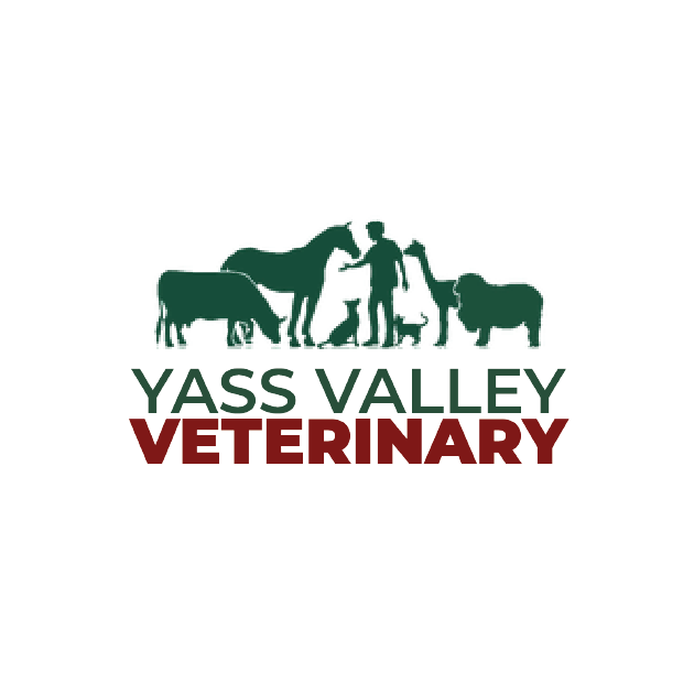 Yass Valley Veterinary