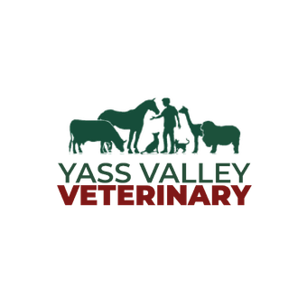 Yass Valley Veterinary