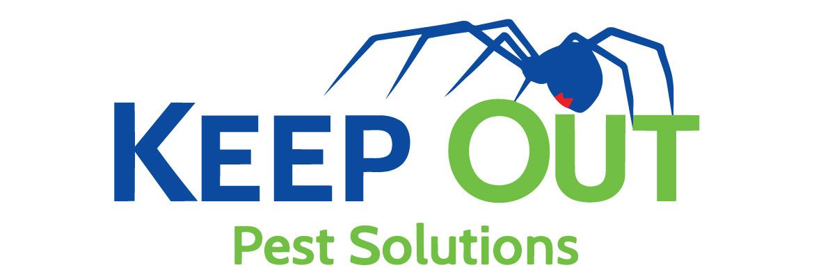 Keep Out Pest Solutions logo with blue spider and green text on white background