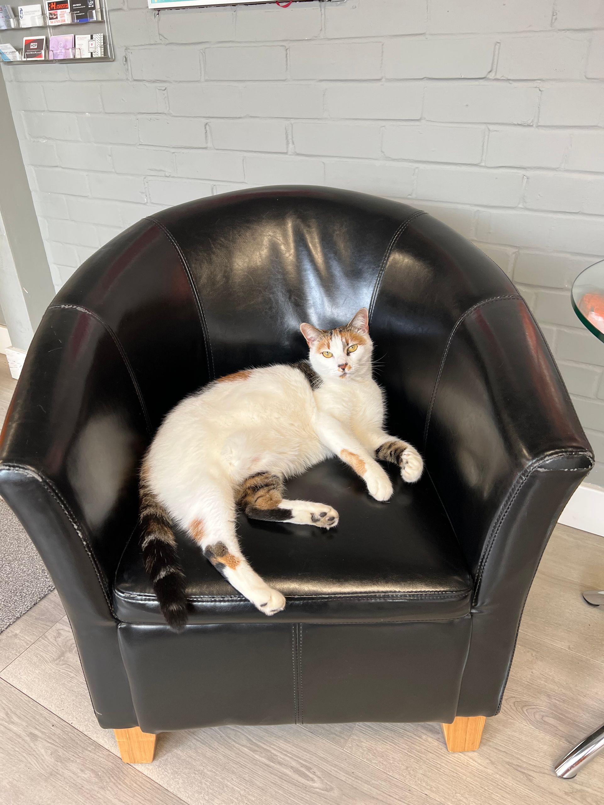 A cat is laying on a black leather chair.
