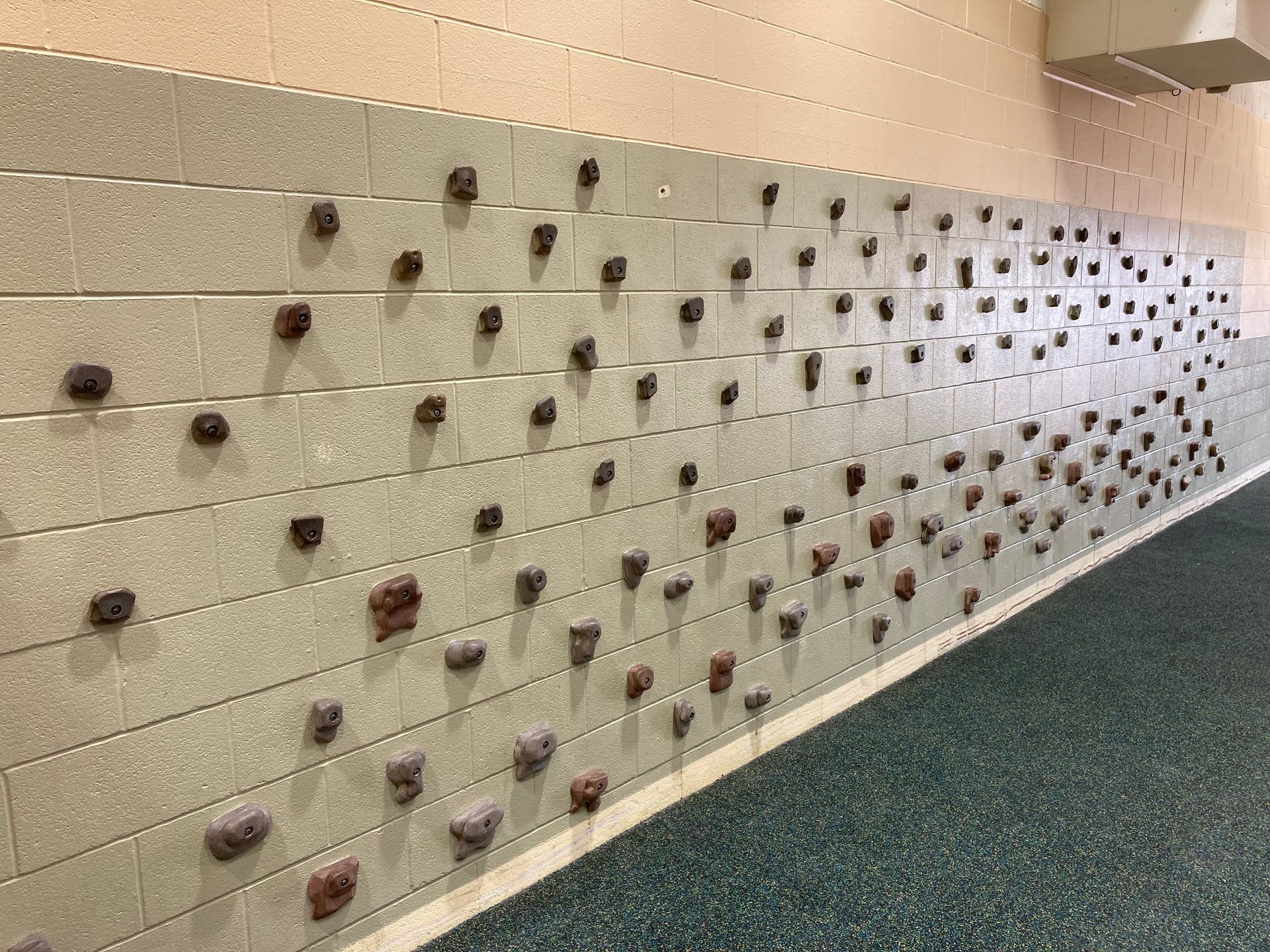 A wall with a lot of rocks on it in a hallway.