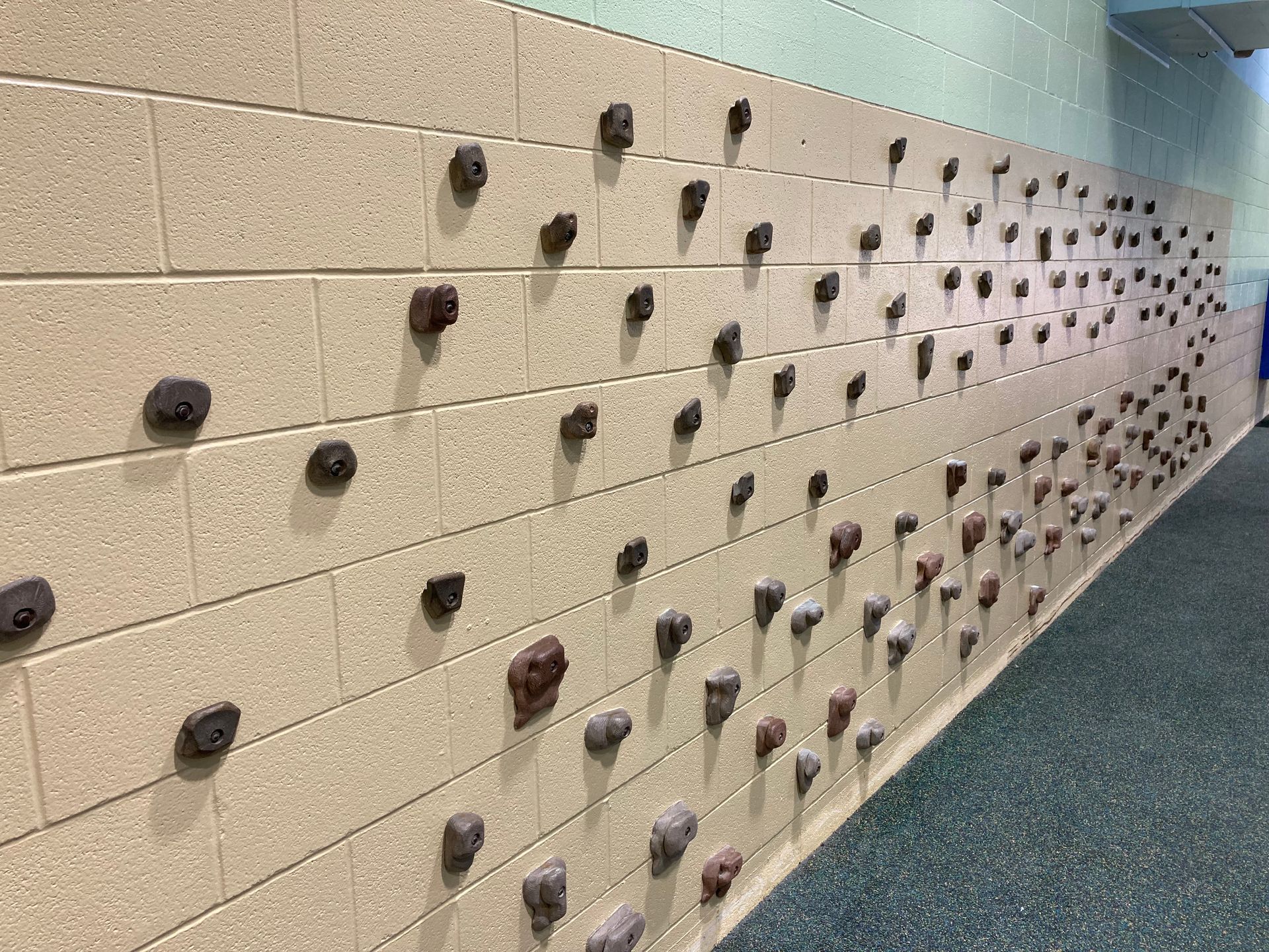 A long hallway with a climbing wall on the wall.