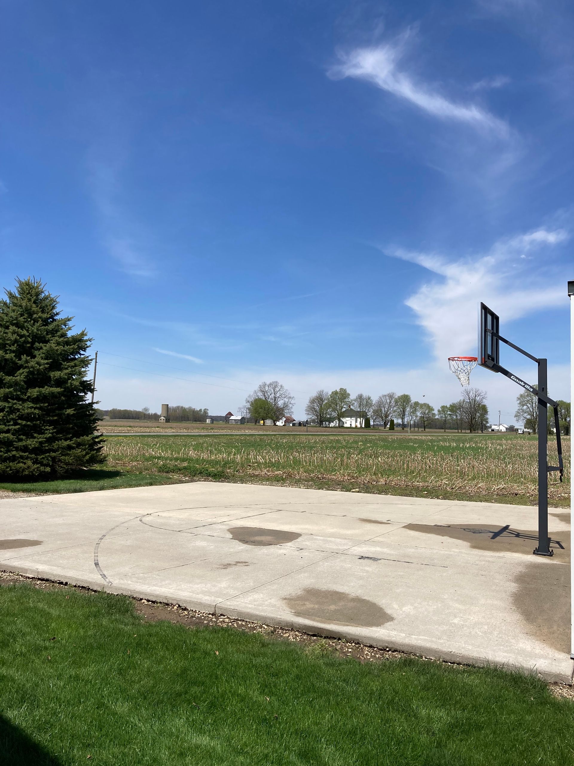 A basketball hoop is sitting in the middle of a grassy field.