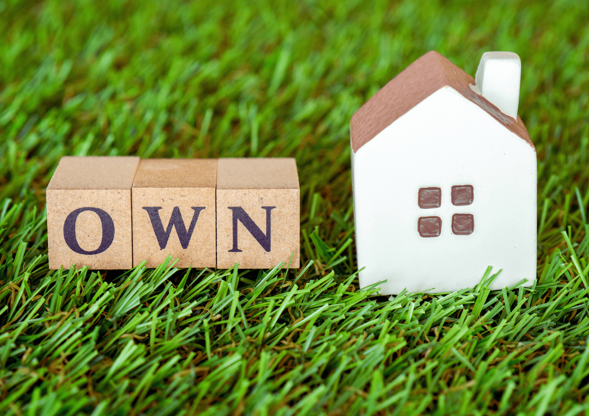 Own Rental Property