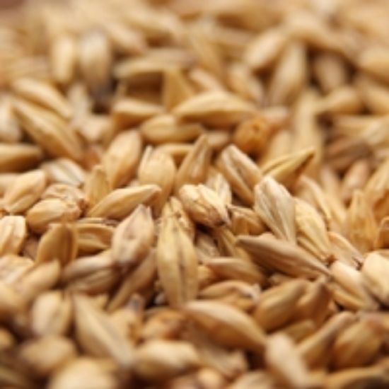 A close up of a pile of wheat grains