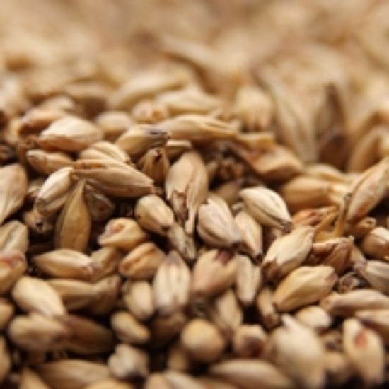 A close up of a pile of wheat grains