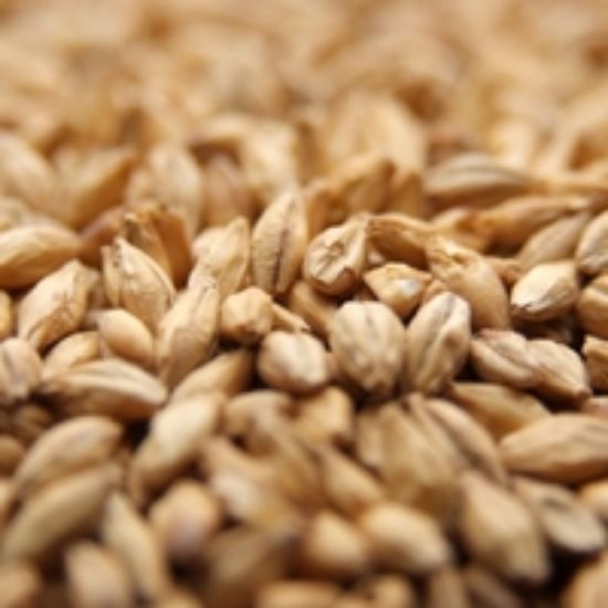 A close up of a pile of wheat grains