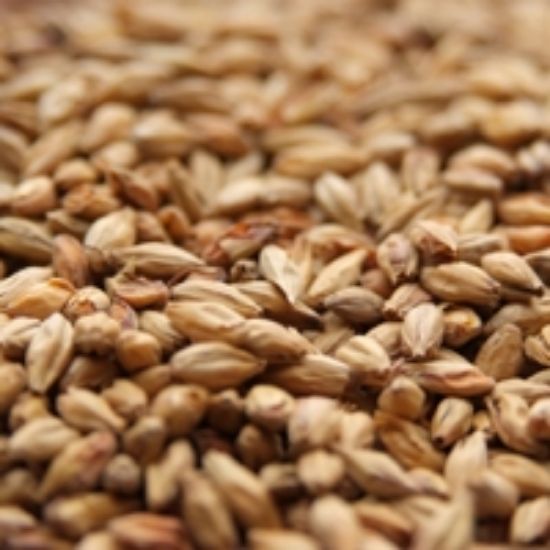 A close up of a pile of wheat grains