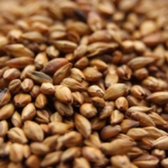 A close up of a pile of wheat grains
