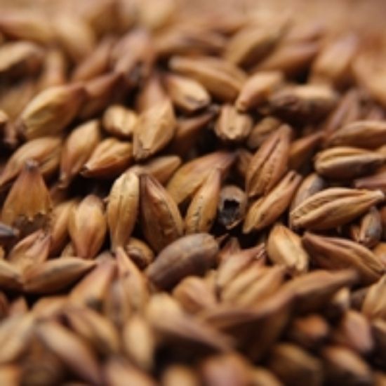 A close up of a pile of brown grains