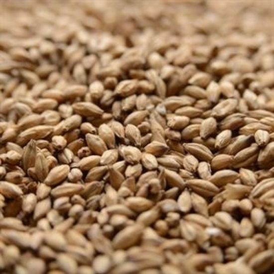 A close up of a pile of wheat grains