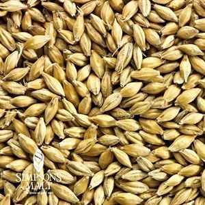 A close up of a pile of malt grains